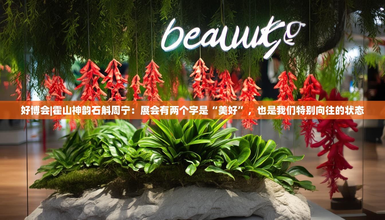 好博会|霍山神韵石斛周宁：展会有两个字是“美好”，也是我们特别向往的状态